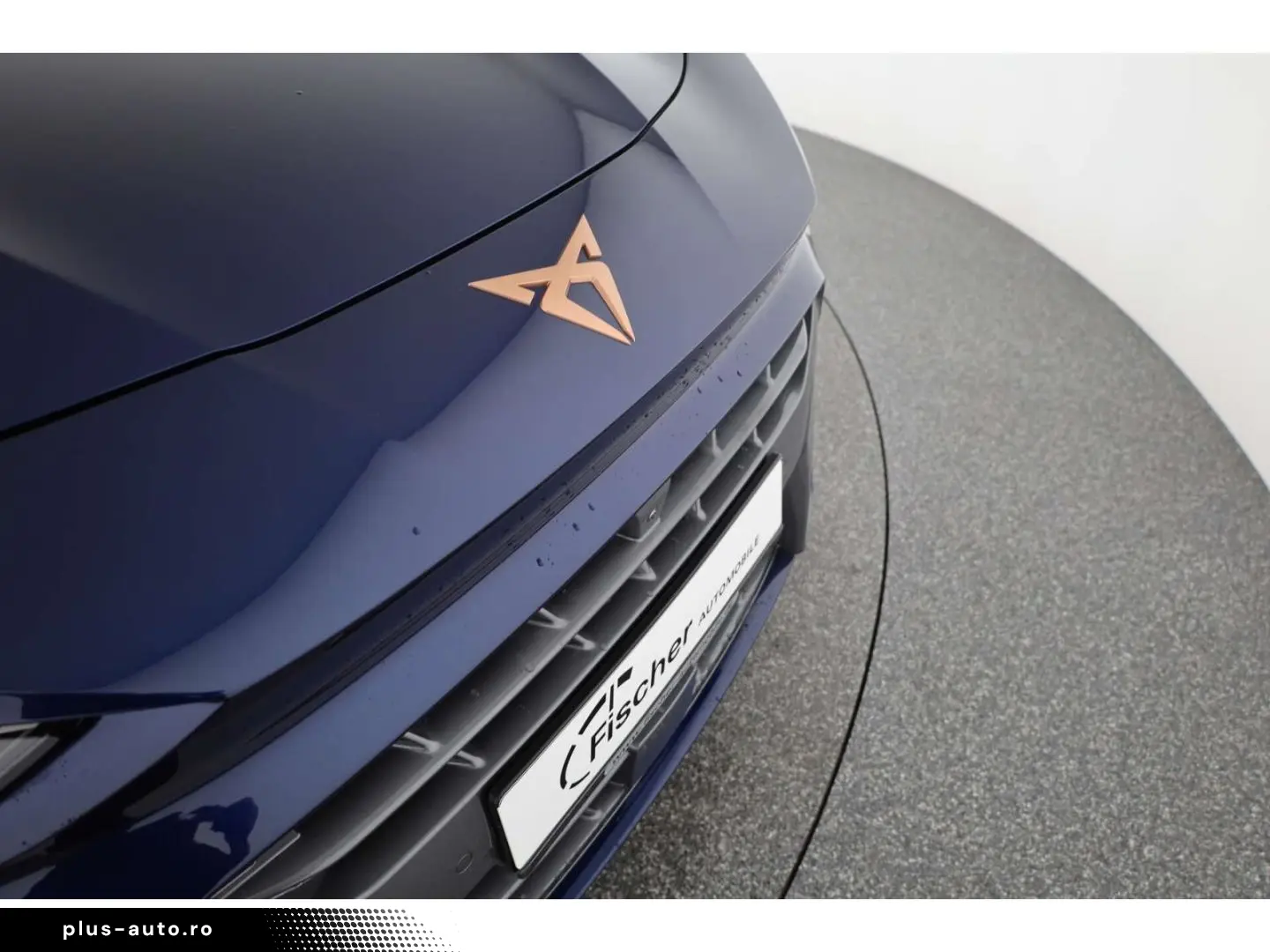CUPRA Terramar 2.0 TSI