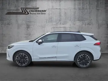 CUPRA Terramar 2.0 TSI 150kW DSG 4Drive RFK AHK