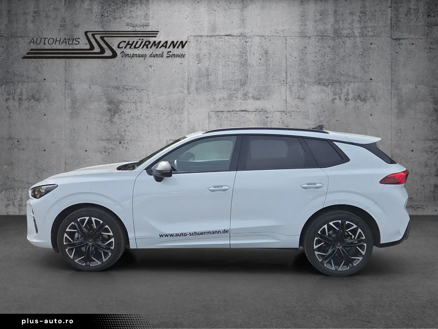 CUPRA Terramar 2.0 TSI 150kW DSG 4Drive RFK AHK