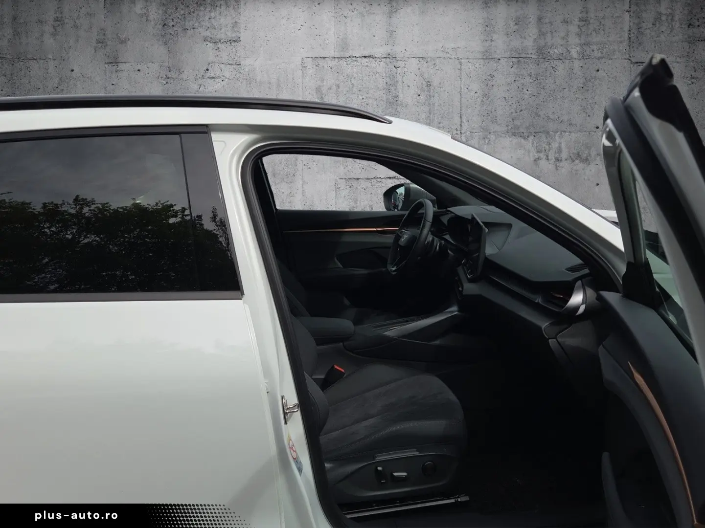 CUPRA Terramar 2.0 TSI 150kW DSG 4Drive RFK AHK