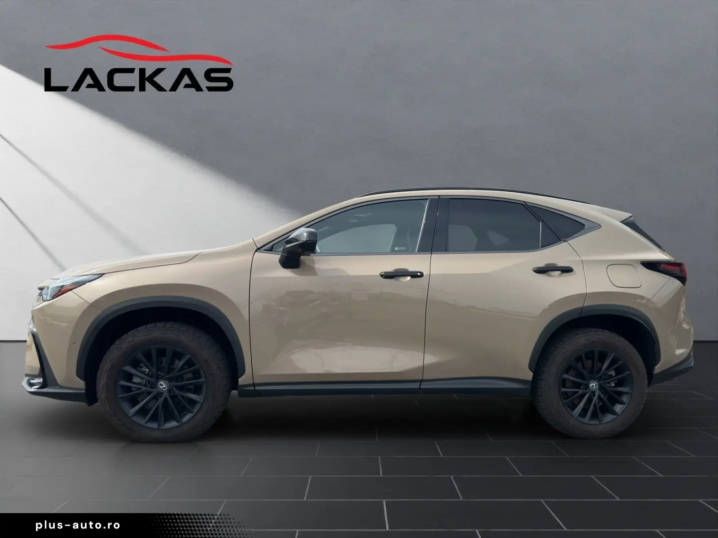 LEXUS NX 350h 350 h E-Four Overtrail