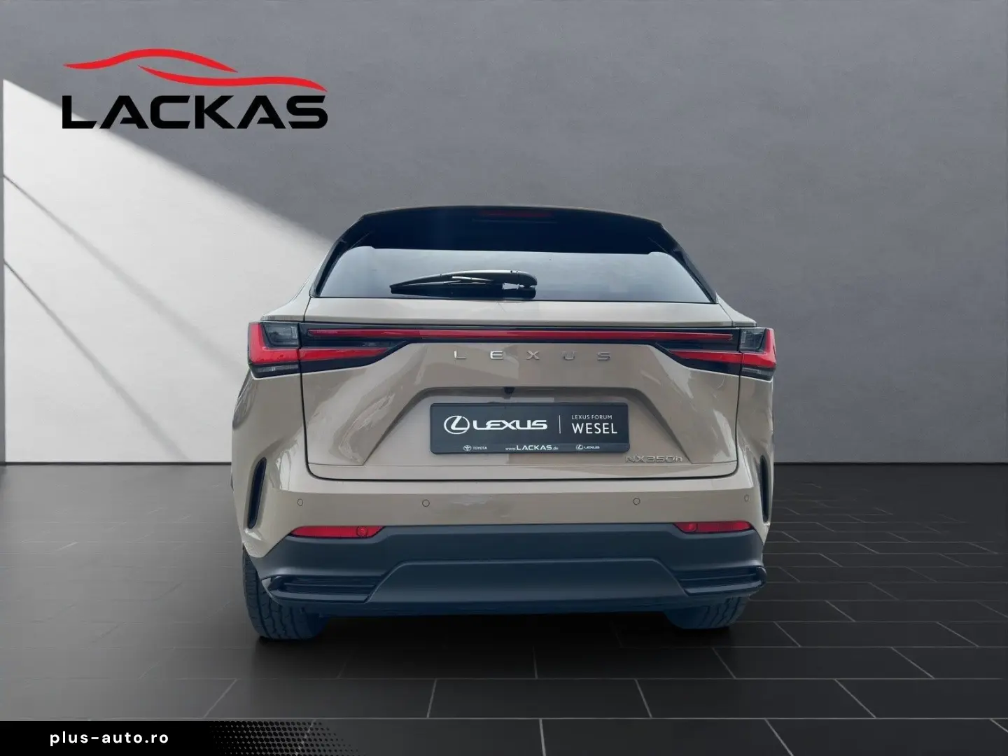 LEXUS NX 350h 350 h E-Four Overtrail