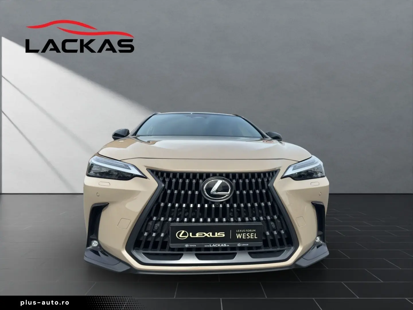 LEXUS NX 350h 350 h E-Four Overtrail