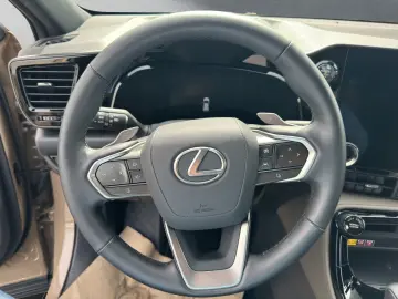 LEXUS NX 350h 350 h E-Four Overtrail