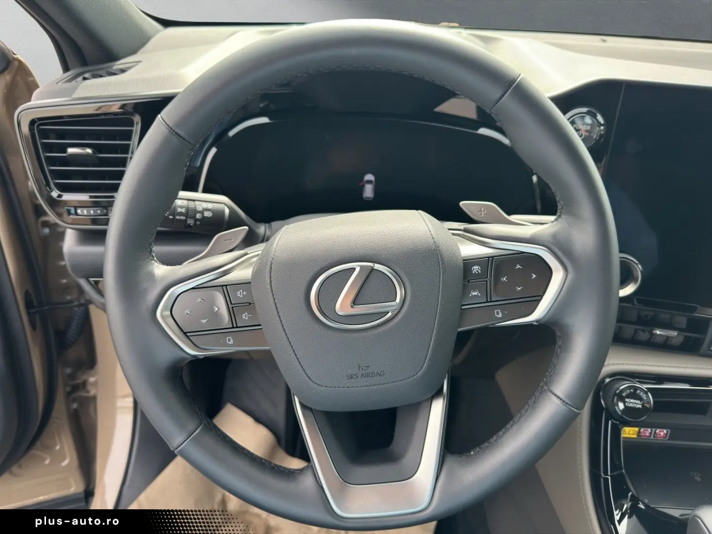 LEXUS NX 350h 350 h E-Four Overtrail
