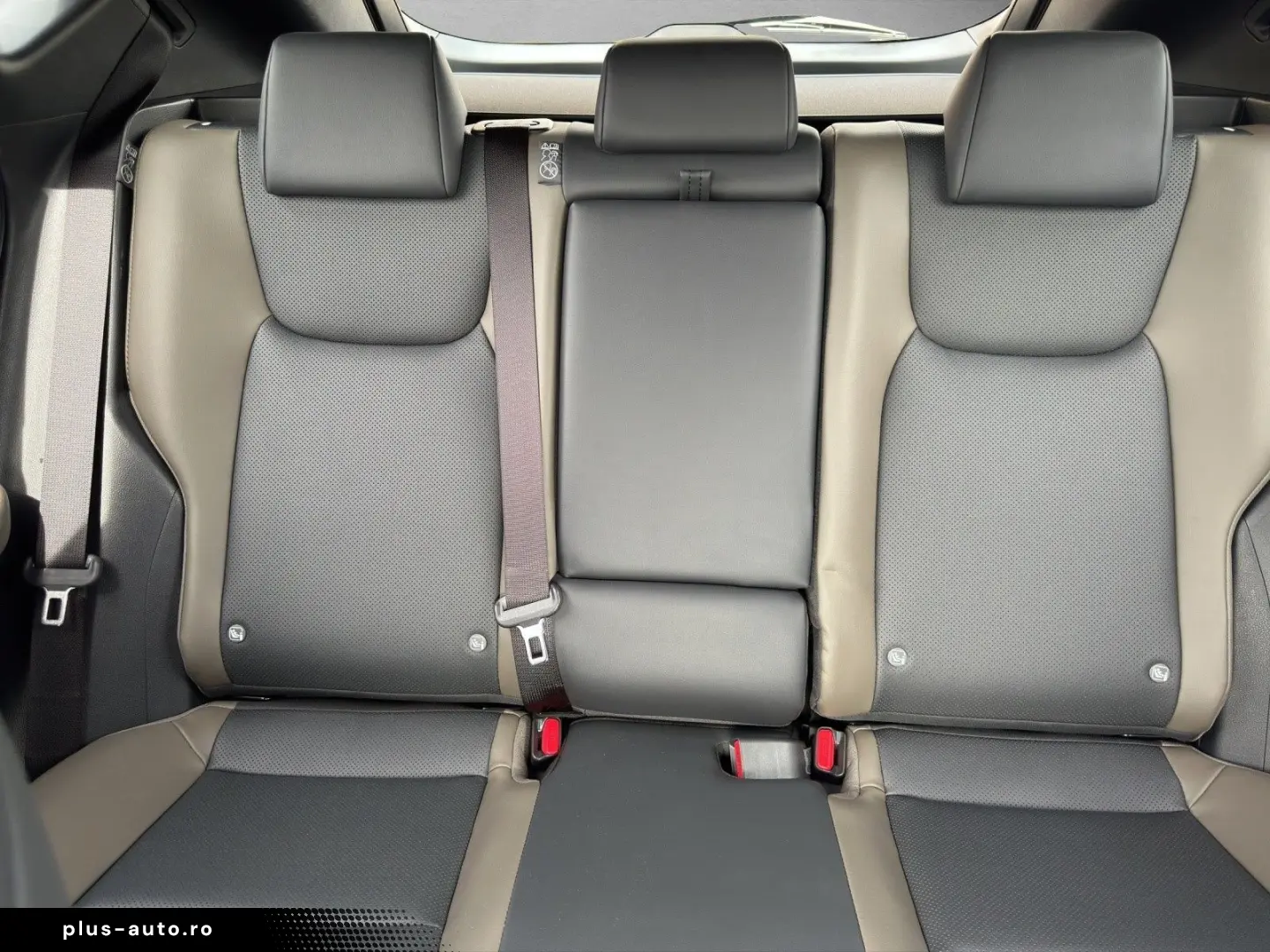 LEXUS NX 350h 350 h E-Four Overtrail