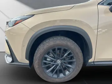 LEXUS NX 350h 350 h E-Four Overtrail