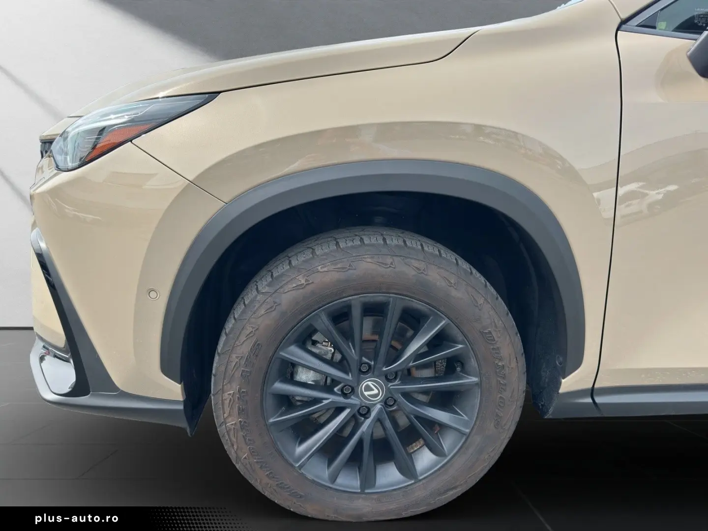 LEXUS NX 350h 350 h E-Four Overtrail