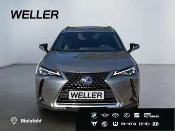 LEXUS UX 250h Style Edition  Bi-LED ACC CAM SHZ CarPla