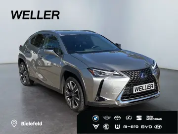 LEXUS UX 250h Style Edition  Bi-LED ACC CAM SHZ CarPla