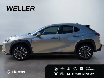 LEXUS UX 250h Style Edition  Bi-LED ACC CAM SHZ CarPla