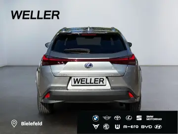 LEXUS UX 250h Style Edition  Bi-LED ACC CAM SHZ CarPla