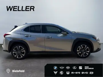 LEXUS UX 250h Style Edition  Bi-LED ACC CAM SHZ CarPla