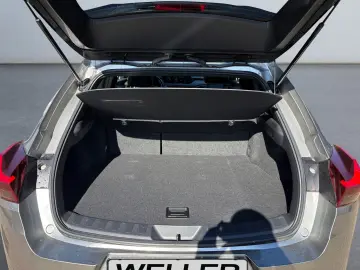 LEXUS UX 250h Style Edition  Bi-LED ACC CAM SHZ CarPla