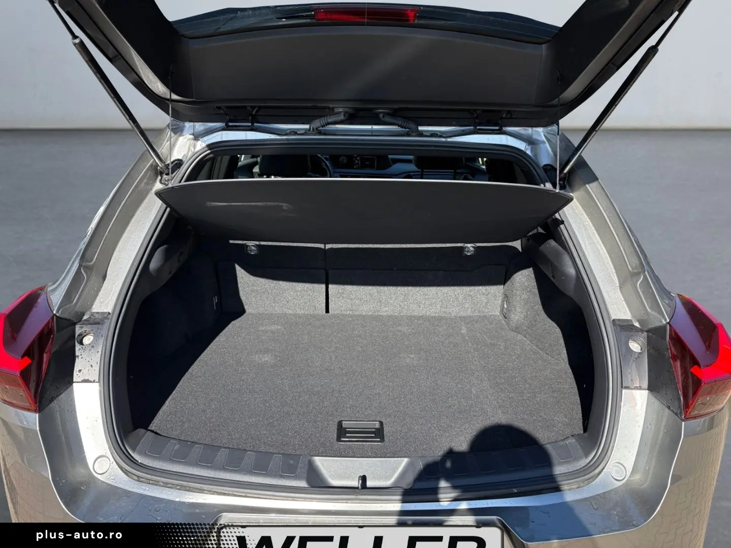 LEXUS UX 250h Style Edition  Bi-LED ACC CAM SHZ CarPla