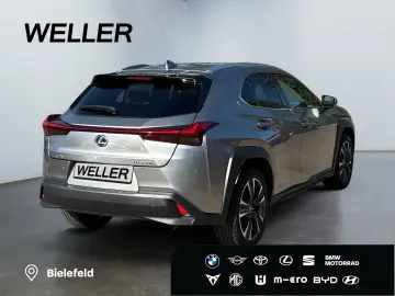 LEXUS UX 250h Style Edition  Bi-LED ACC CAM SHZ CarPla