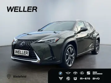 LEXUS UX 250h Style Edition  Bi-LED AHK CAM ACC SHZ PD