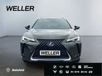 LEXUS UX 250h Style Edition  Bi-LED AHK CAM ACC SHZ PD