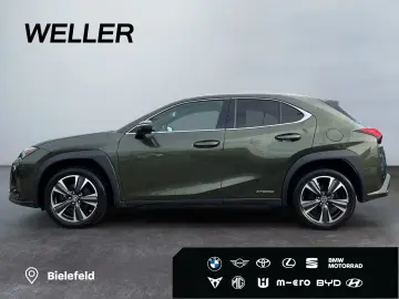 LEXUS UX 250h Style Edition  Bi-LED AHK CAM ACC SHZ PD