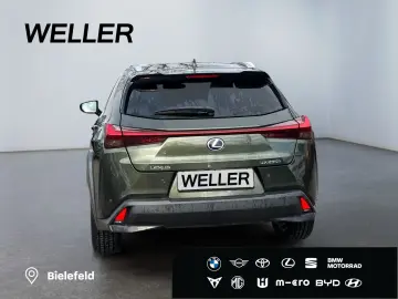 LEXUS UX 250h Style Edition  Bi-LED AHK CAM ACC SHZ PD