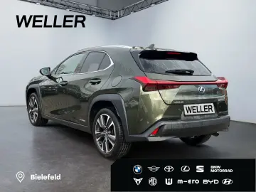 LEXUS UX 250h Style Edition  Bi-LED AHK CAM ACC SHZ PD