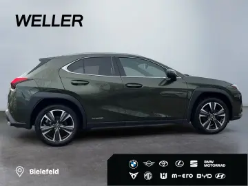 LEXUS UX 250h Style Edition  Bi-LED AHK CAM ACC SHZ PD