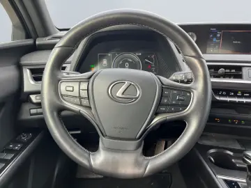 LEXUS UX 250h Style Edition  Bi-LED AHK CAM ACC SHZ PD