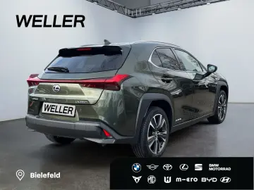 LEXUS UX 250h Style Edition  Bi-LED AHK CAM ACC SHZ PD