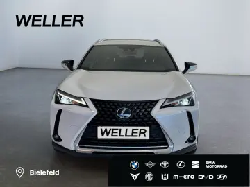 LEXUS UX 250h Style Edition  Bi-LED ACC CAM SHZ CarPla