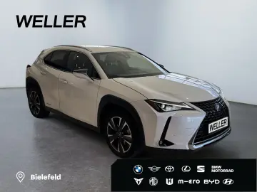 LEXUS UX 250h Style Edition  Bi-LED ACC CAM SHZ CarPla