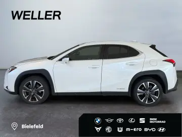 LEXUS UX 250h Style Edition  Bi-LED ACC CAM SHZ CarPla
