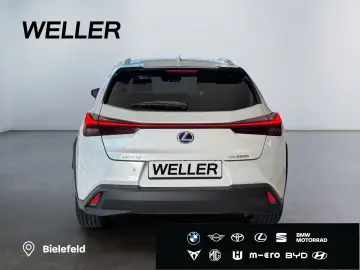 LEXUS UX 250h Style Edition  Bi-LED ACC CAM SHZ CarPla
