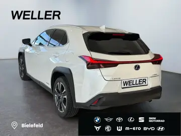 LEXUS UX 250h Style Edition  Bi-LED ACC CAM SHZ CarPla