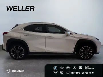 LEXUS UX 250h Style Edition  Bi-LED ACC CAM SHZ CarPla