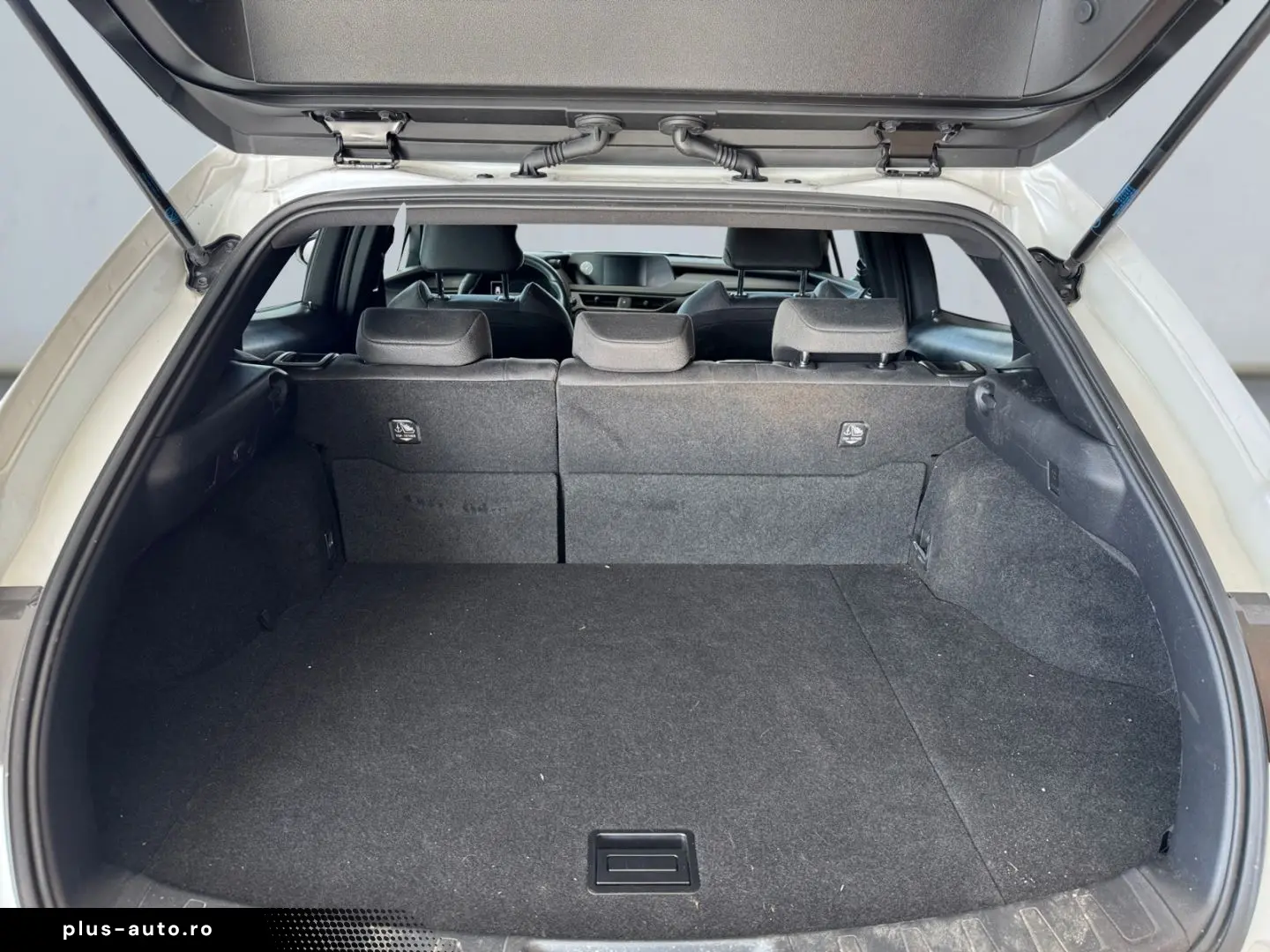 LEXUS UX 250h Style Edition  Bi-LED ACC CAM SHZ CarPla