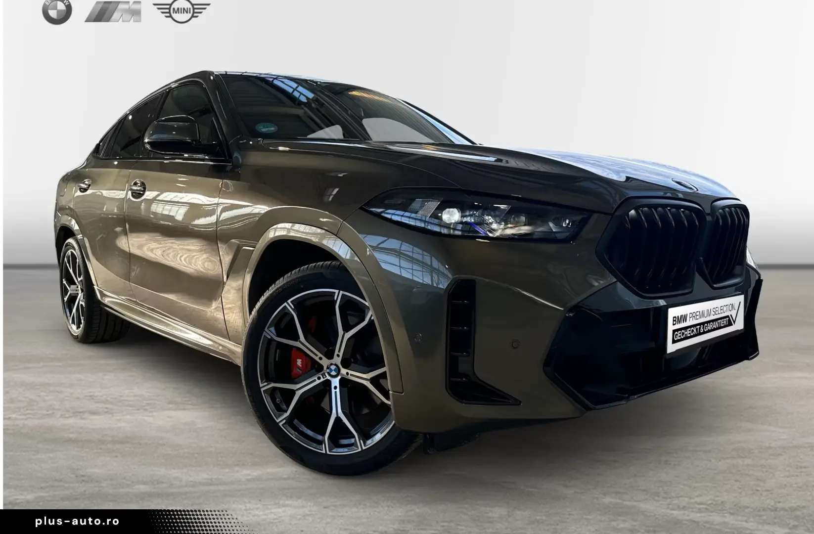 BMW X6 xDrive40i 641€ netto mtl. M Sportpaket Pro 21