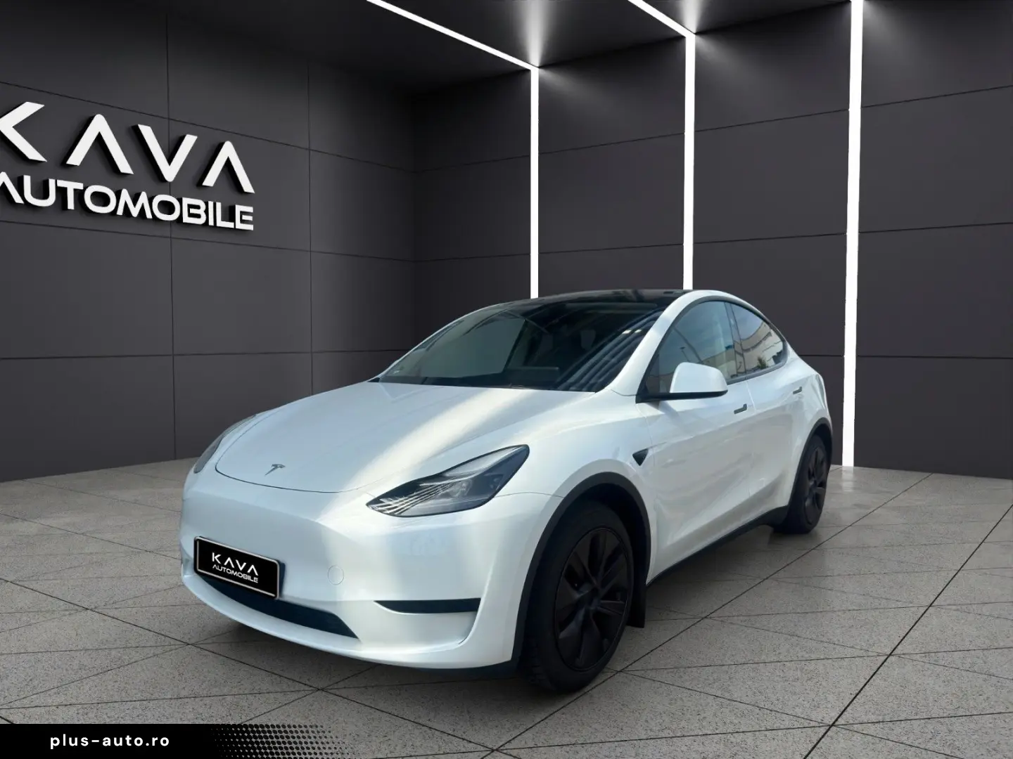 TESLA Model Y  RWD ACC Autopilot Pano Kamera Leder Dab