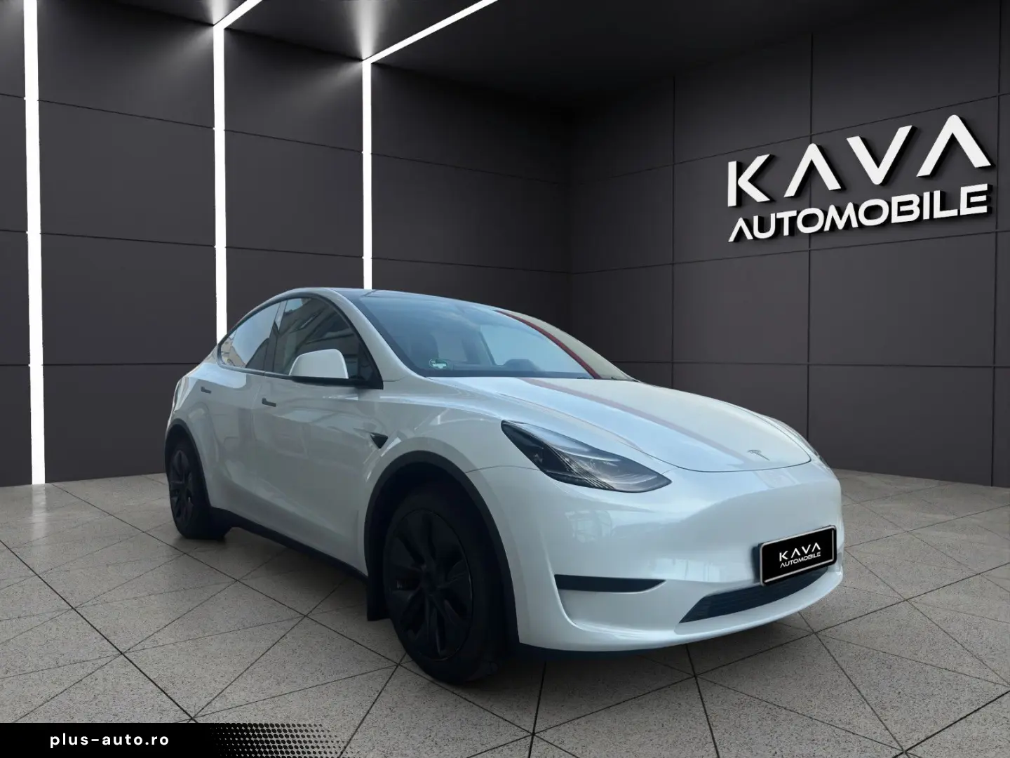 TESLA Model Y  RWD ACC Autopilot Pano Kamera Leder Dab