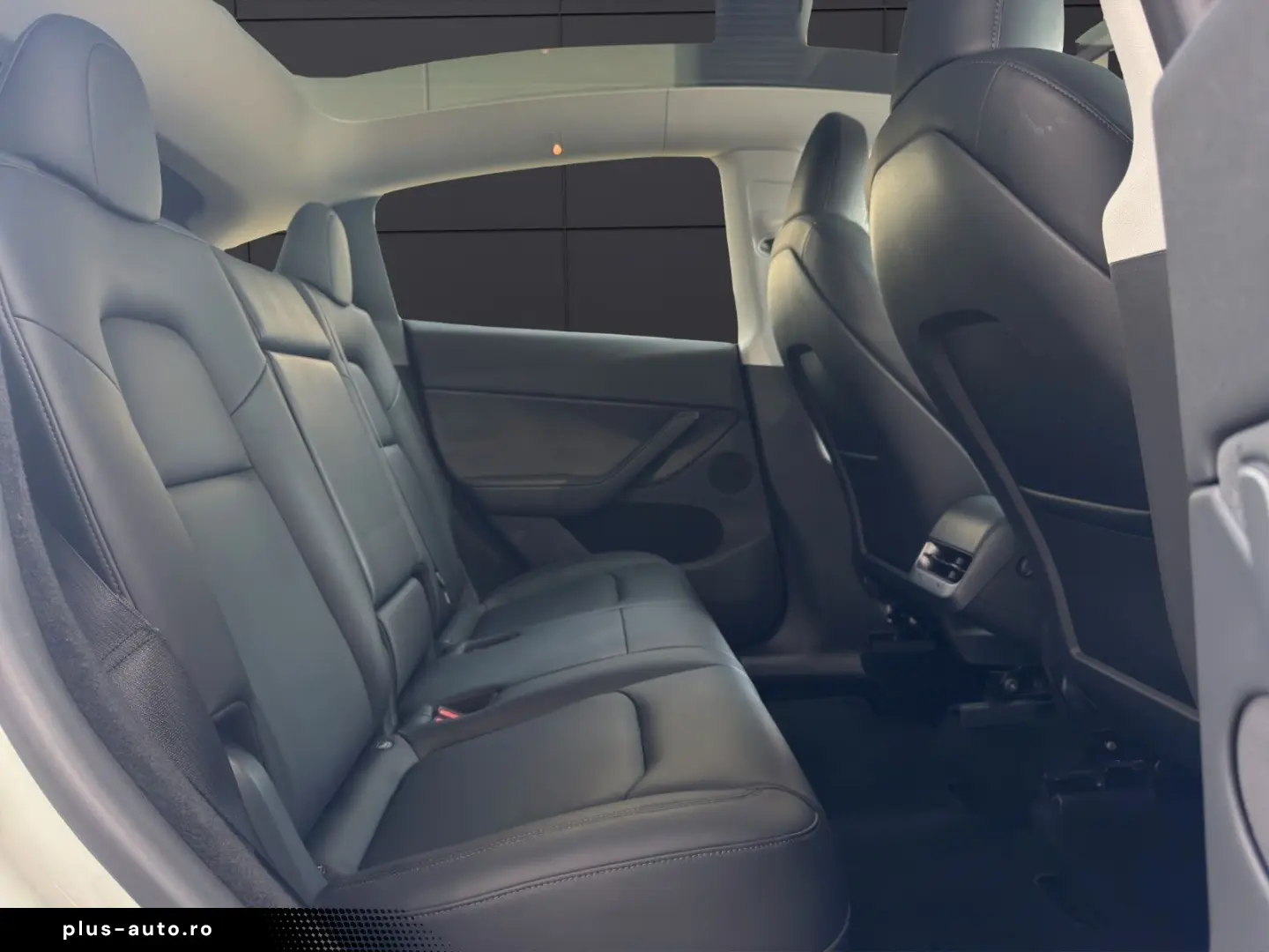 TESLA Model Y  RWD ACC Autopilot Pano Kamera Leder Dab