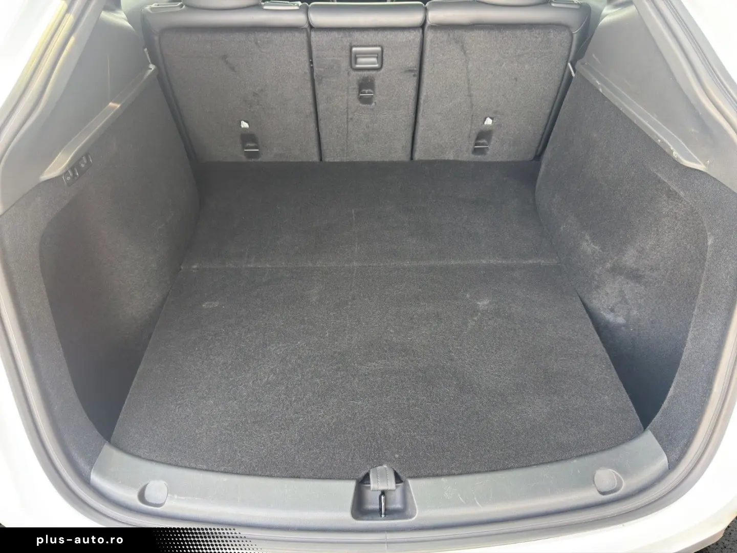 TESLA Model Y  RWD ACC Autopilot Pano Kamera Leder Dab
