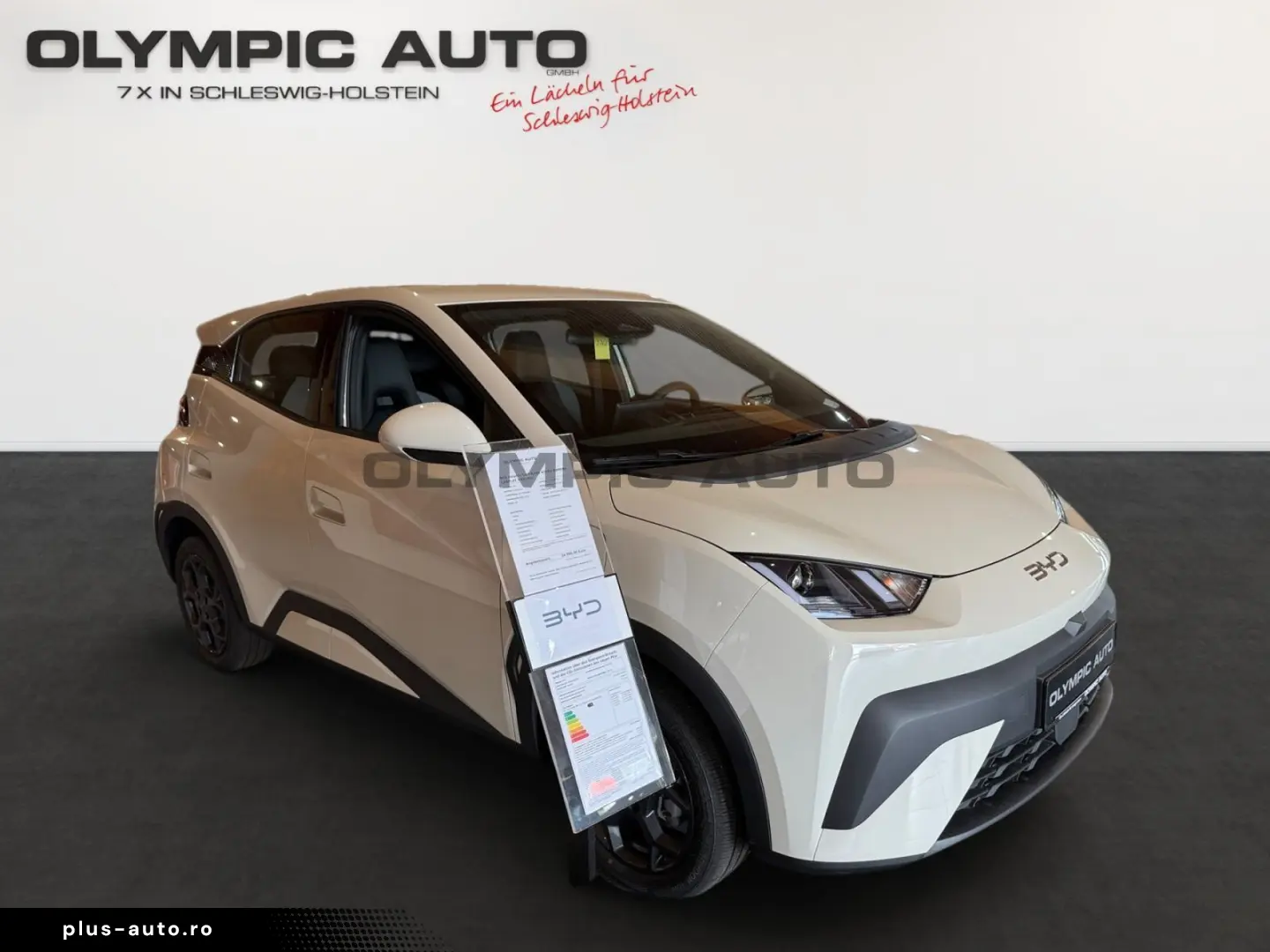 BYD Dolphin Surf Boost 43kWh KAMERA CARPLAY NAVI ALU