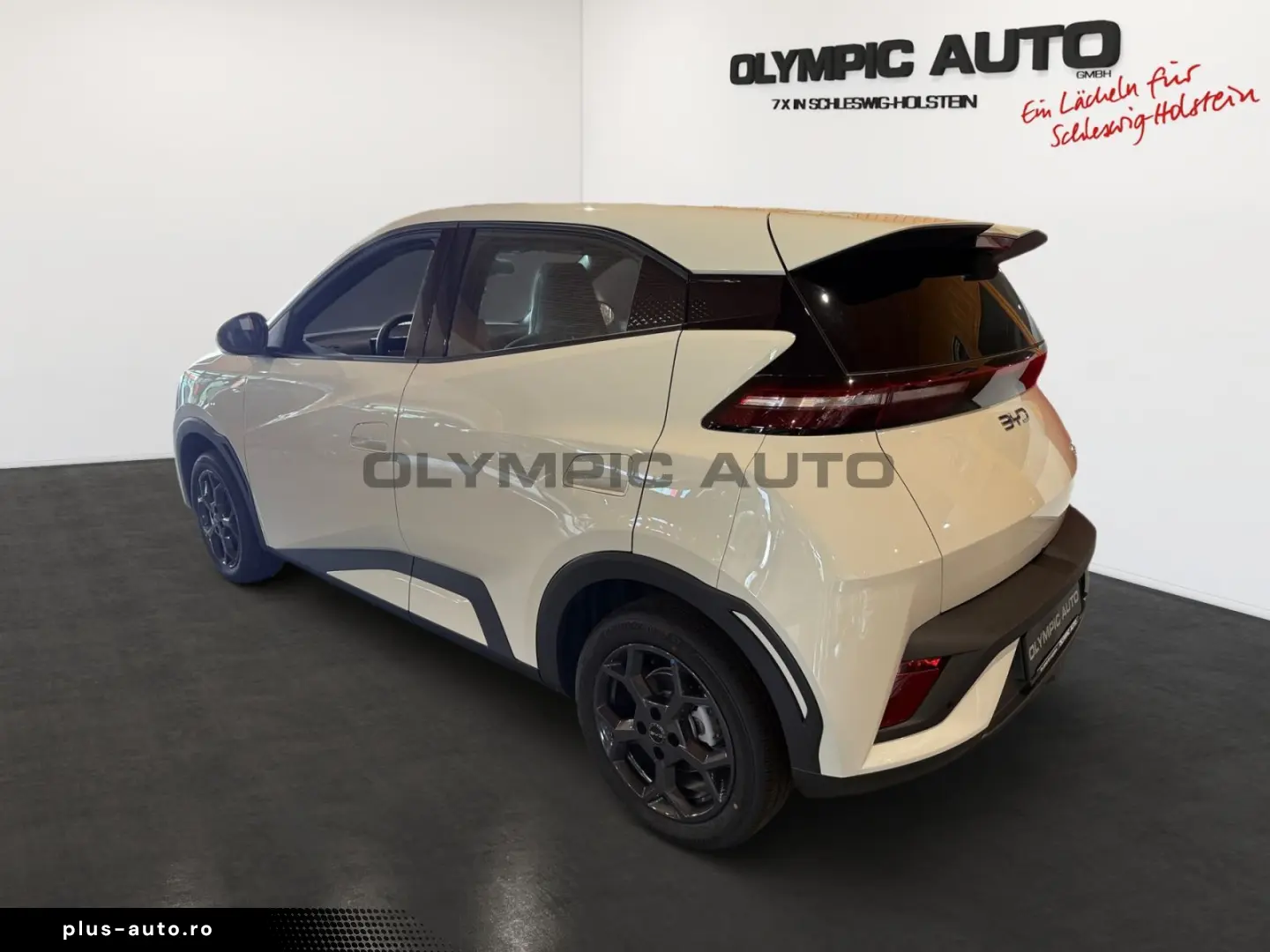 BYD Dolphin Surf Boost 43kWh KAMERA CARPLAY NAVI ALU