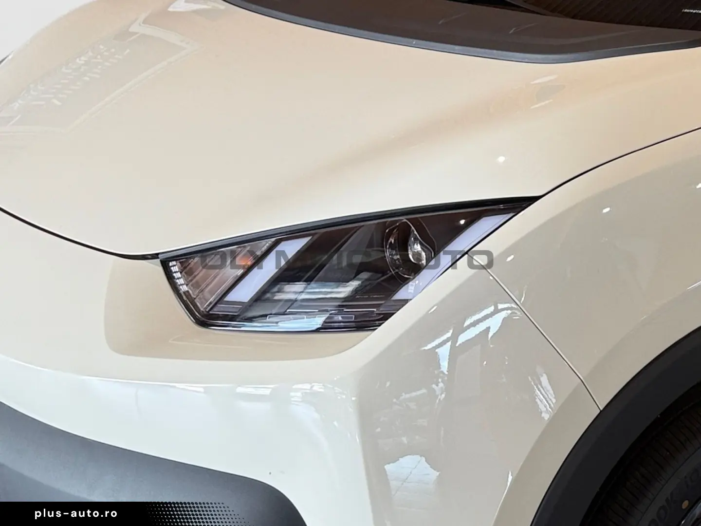 BYD Dolphin Surf Boost 43kWh KAMERA CARPLAY NAVI ALU