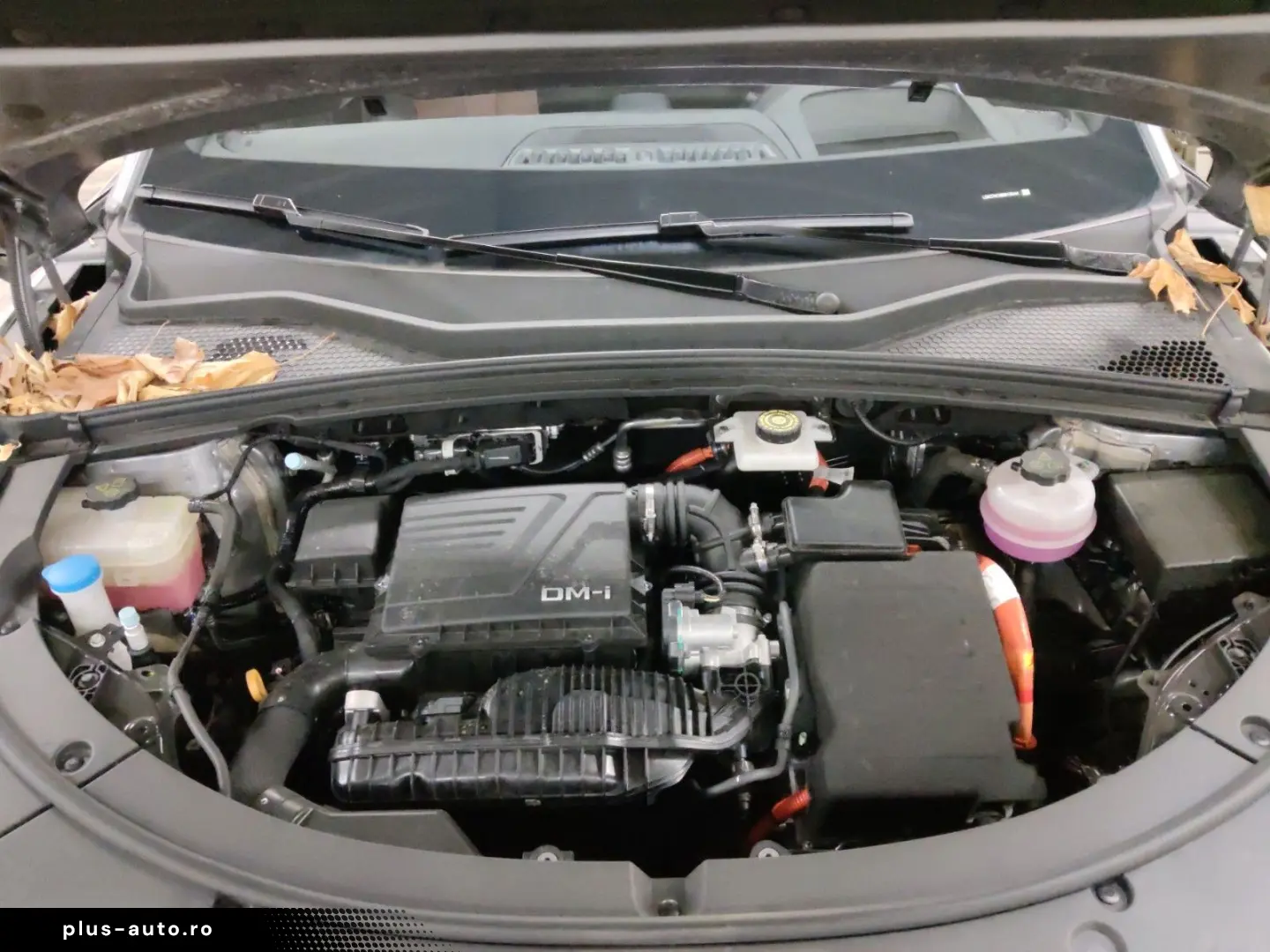 BYD SEAL U DM-i Comfort 1.5 PHEV