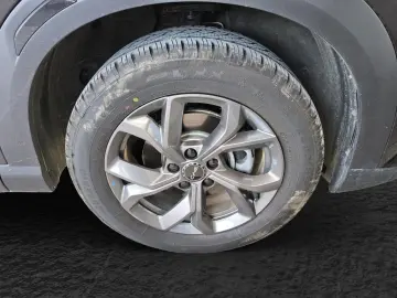 BYD BYD Atto 2 Active  Panodach Navi LED Kamera Schi