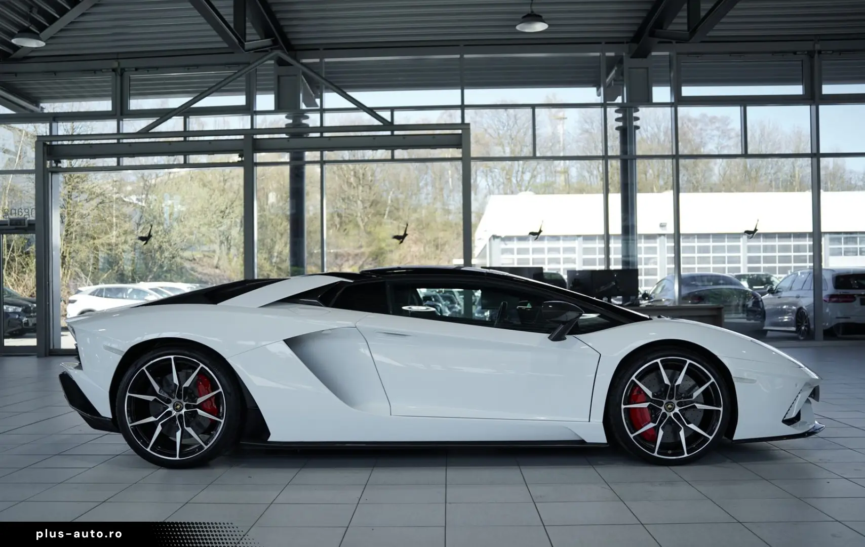 LAMBORGHINI Aventador S Roadster  2.H  Carbon  LIFT  Dt.Fzg