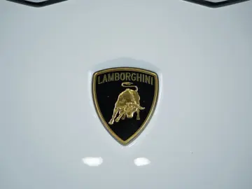 LAMBORGHINI Aventador S Roadster  2.H  Carbon  LIFT  Dt.Fzg