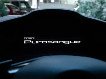 FERRARI Purosangue - Vinaccia Lift - Carbon - VAT