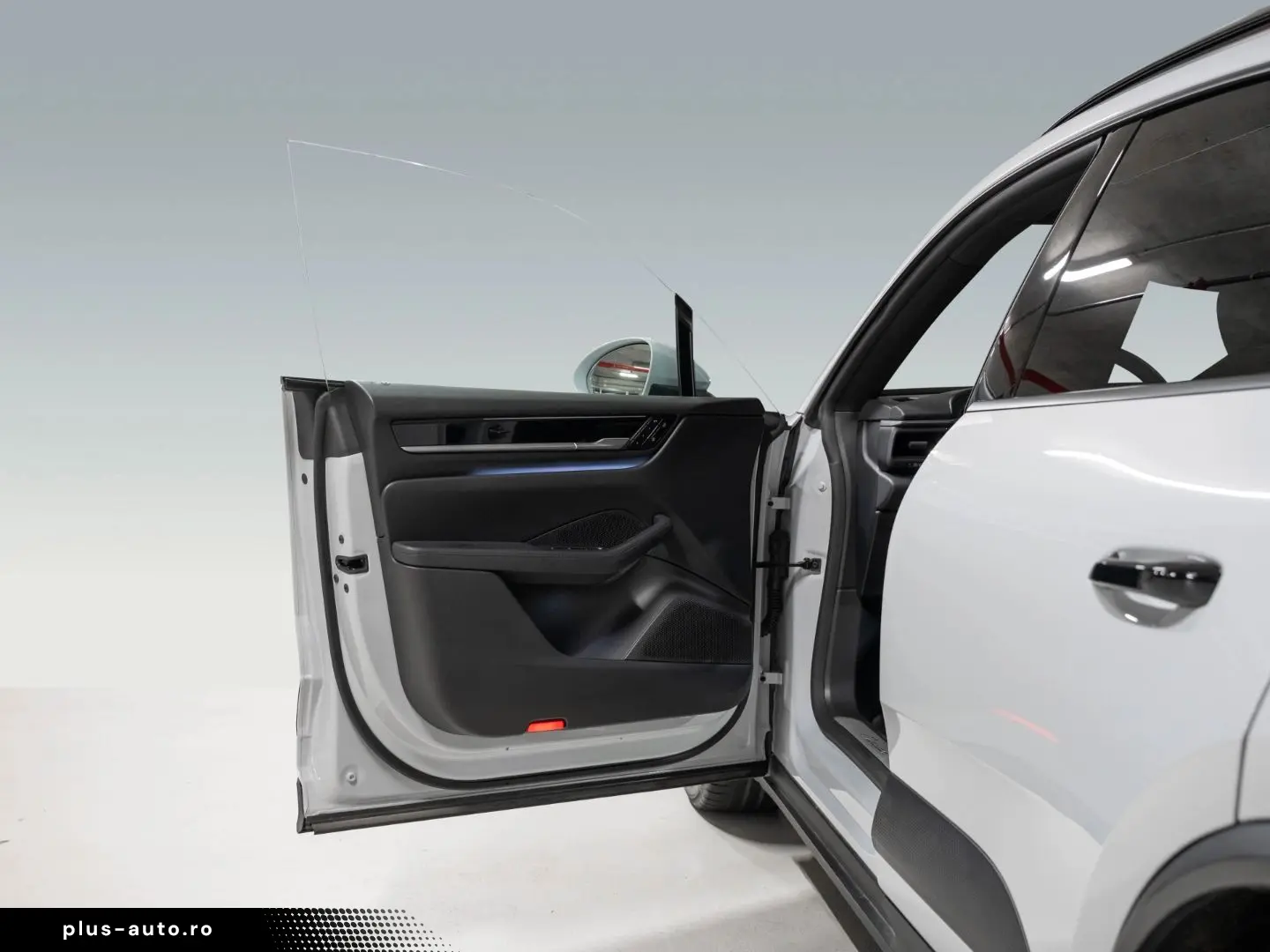 PORSCHE Macan Electric PASM Panorama Lenkradheizung