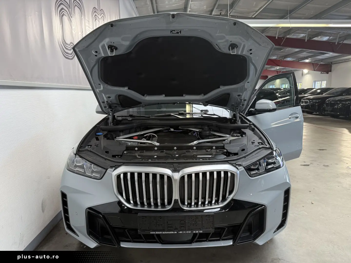 BMW X5 30 d xDr. M Sport PANO HUD ICONIC Privacy
